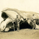 Illustration for article titled Strange Historic Photos From Antarctica and Other Kingdoms of Ice